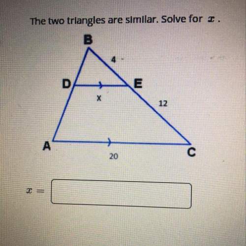 The two triangles are similar. solve for x.