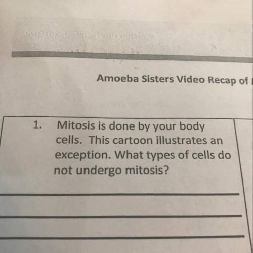 What types of cells do not undergo mitosis