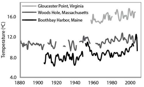 Scientists from noaa monitored the movement of summer flounder in the atlantic ocean and found that