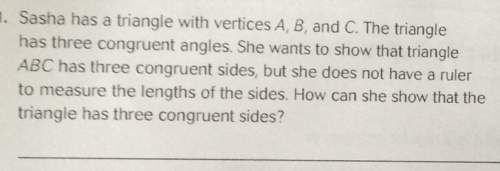 Sasha has a triangle with vertices a, b, and c. the trianglehas three congruent angles. she wants to