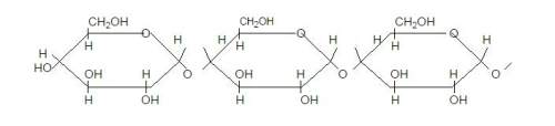 "the building blocks for this molecule are (1)amino acids (2)simple sugars (3)fats