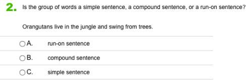 Is the group of words a simple sentence, a compound sentence, or a run-on sentence?