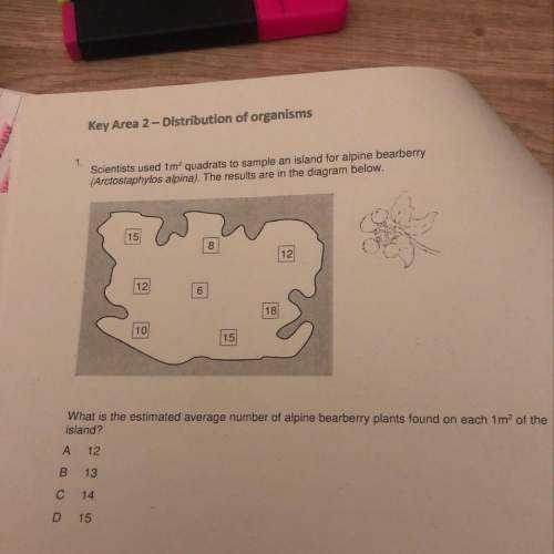 What is the answer to this question and the solution to it