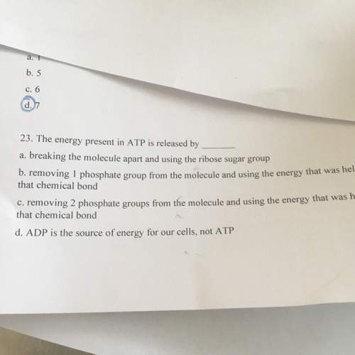 The energy present in atp is released by?
