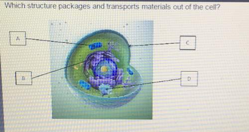 Which structure packages and transports materials out of the cell?