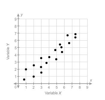 which associations best describe the scatter plot?  choose exactly two answers th