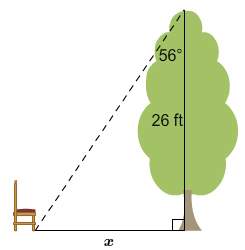 a chair is placed near a 26-ft tall tree. a right triangle is formed between the chair, the ba