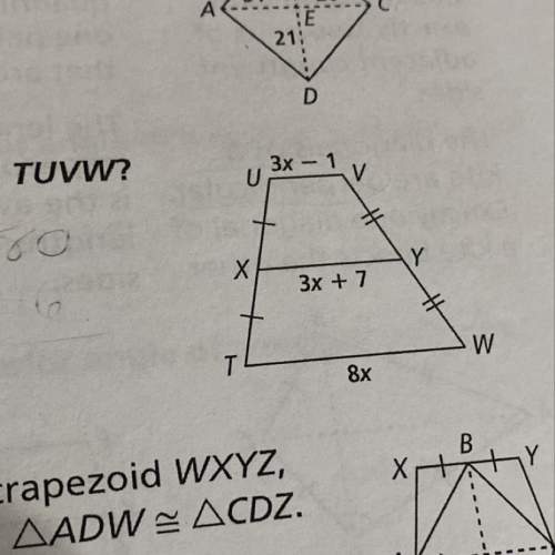What is the length of each segment in a trapezoid tuvw?