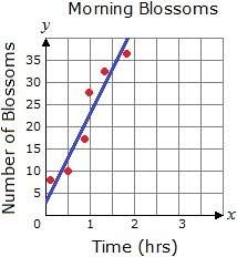 The graph below shows the number of open blossoms in a nursery and the number of hours after dawn. t