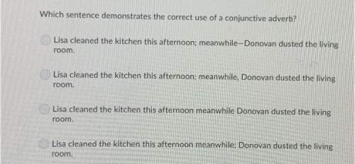 Which sentence demonstrates the correct use of a conjunctive from “a cat is not a can of soup”