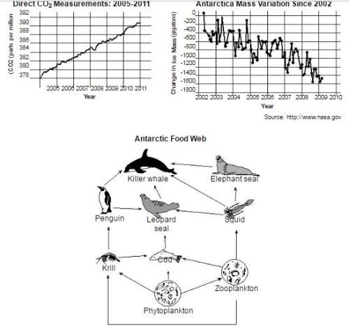 "over the past few decades, researchers have observed declining numbers in two species of penguins n