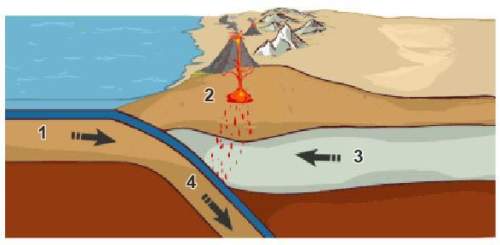 Study the image. at which point is subduction occurring?  1