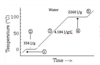 Elaborate the reason that the heat of vaporization of water is so much greater than its heat of fusi