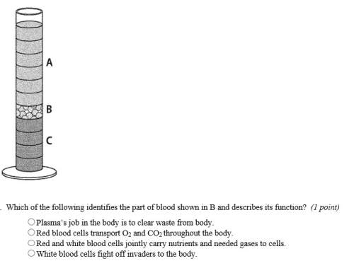 Which of the following shows the part of blood shown in b and describes its functions