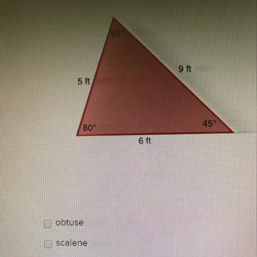 Select the term that does not describe the triangle. select all that apply.
