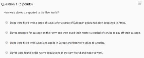 How were slaves transported to the new world? (attachment)
