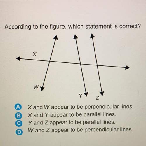 According to the figure, which statement is correct?  z x and w appear to be perpendicul