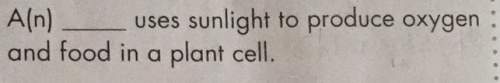A( uses sunlight to produce oxygen and food in a plant cell.
