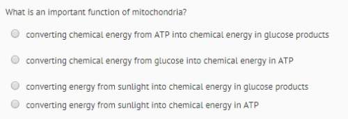 What is the main function of mitochondria
