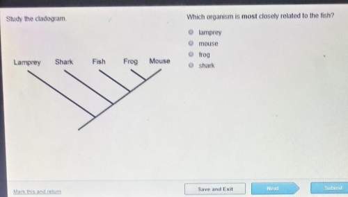 Study the cladogram which organisms is most closely related to a fish