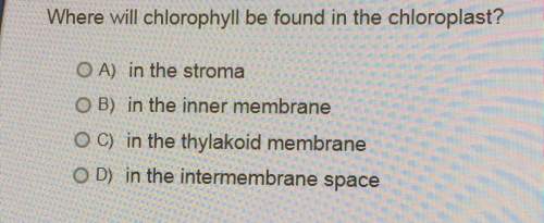 Where will chlorophyll be found in the chloroplast? o a) in the stromao b) in the inner membraneo c)
