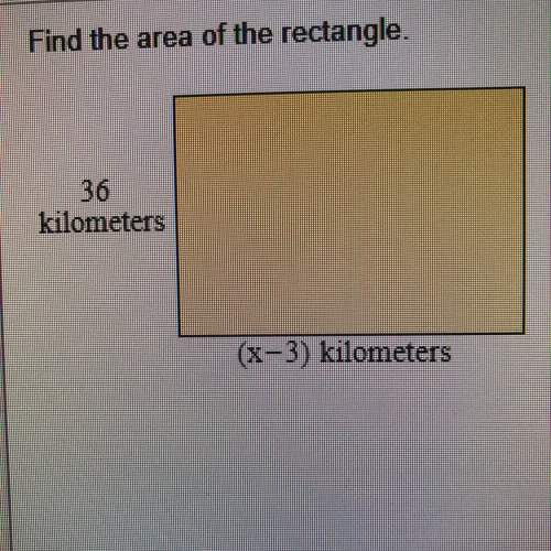 Find the area of the rectangle? ! : )
