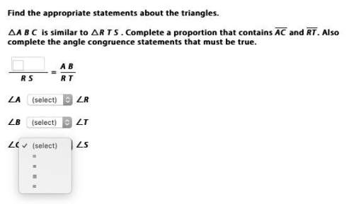 Find the appropriate statements about the triangles.