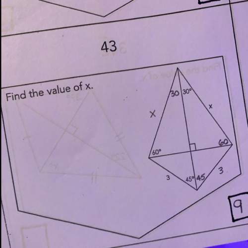 Find the value of x for the side of a kite