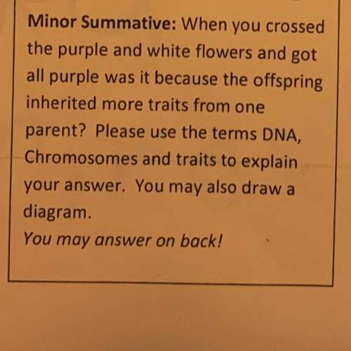 Pls ill give you !  context: we did a lab and purple was the dominant gene while white was