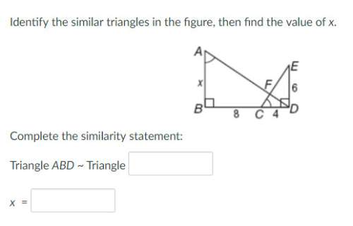 Identify the similar triangles in the figure, then find the value of x.