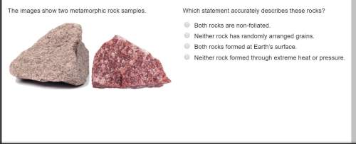 The images show two metamorphic rock samples. which statement accurately describes these rocks? bot