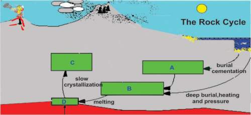 As soon as you !  the diagram below shows a portion of the rock cycle. at what loc