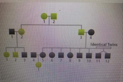 The pedigree chart below shows the individuals in a family who exhibit a certain trait. based on the