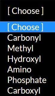 Match the functional groups with their structures: (choices are in the attached image)