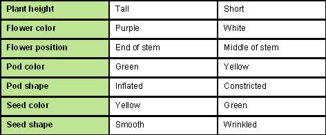 The table below summarizes the traits that mendel examined during his experiments. what do these cha