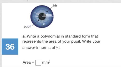Ineed the polynomial for this problem, if you don’t know then don’t answer! wrong answers will be r