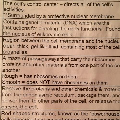 What is a maze passsage way that carrys ribosomes and proteins