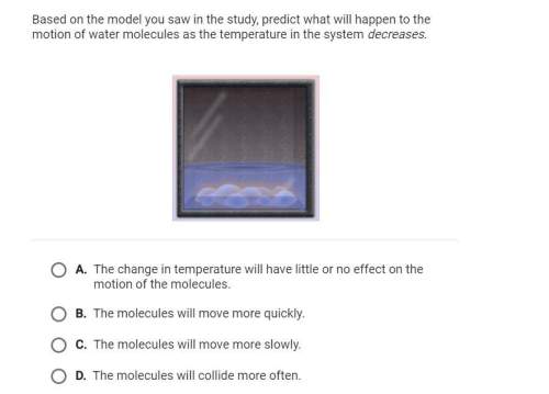 Based on the model you saw in the study, predict what will happen to the motion of the water molecul