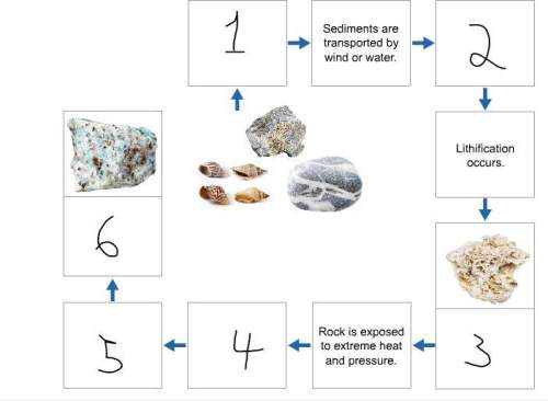 Construct a process by which rocks may change forms. (earth science) *two screenshot attachmen