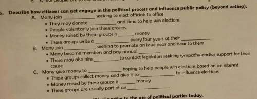 Describe how citizens can get engage in the ploitical process and influence public policy.