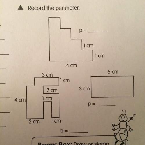 Ineed to know the answer on record the perimeter
