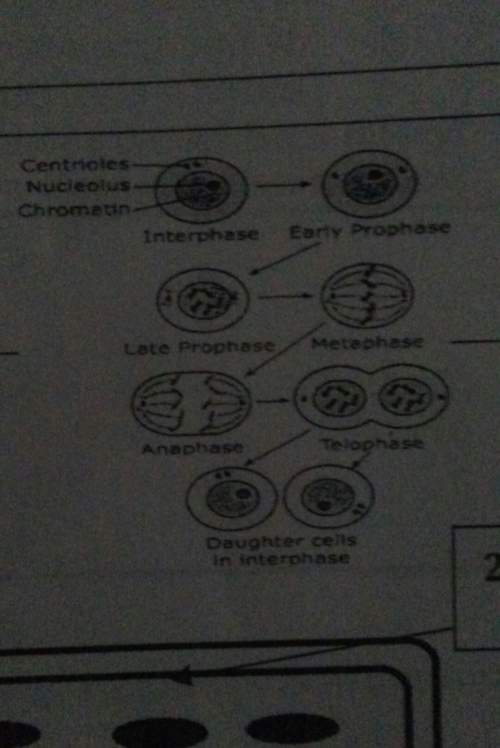 Which part of cell theory is the diagram to the right