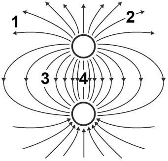 The image shows the electric field lines around two charged particles. at which position would
