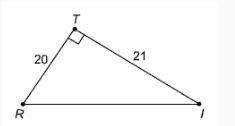 What is the approximate measure of l?