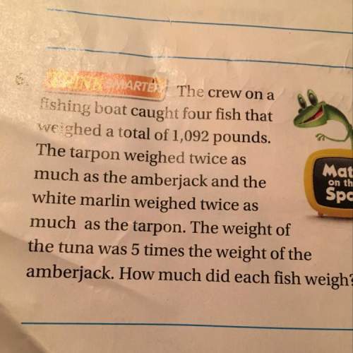 How much did each fish weight