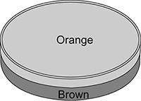 13 points and  stephen has a counter that is orange on one side and brown on the other. the co