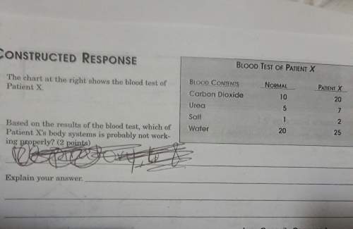 Based on the results of the blood test, which of patient x's body systems is probably not-working pr