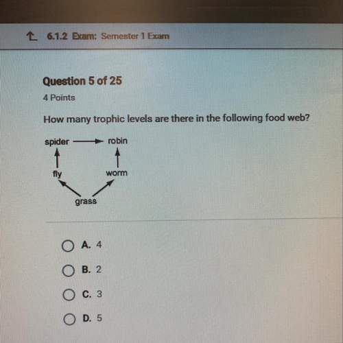 How many trophic levels are there in the following food web