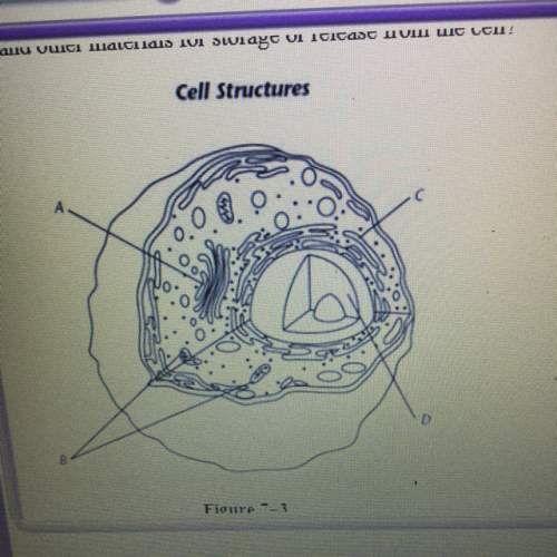 *pic attached* which structure in the cell shown in figure 7-3 below modifies sorts and packages pro