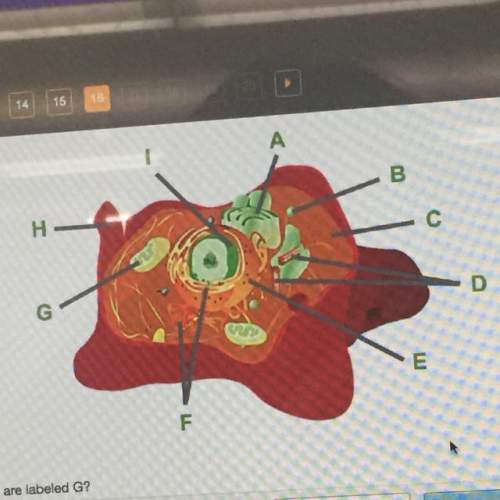 Consider this animal cell. which organelles are labeled g